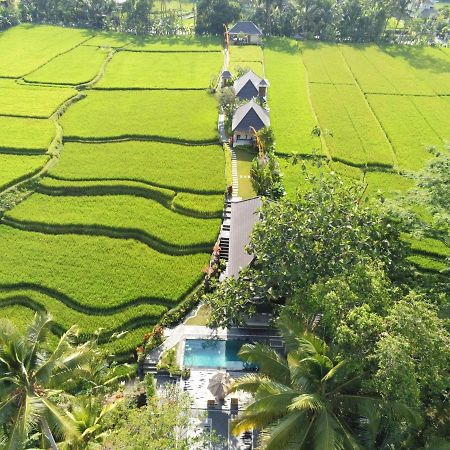 Puri Raya Villa Убуд Экстерьер фото