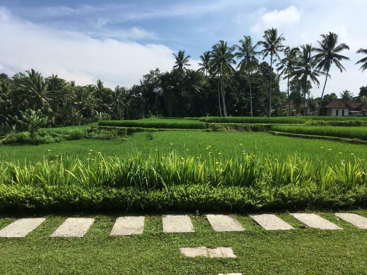 Puri Raya Villa Убуд Экстерьер фото